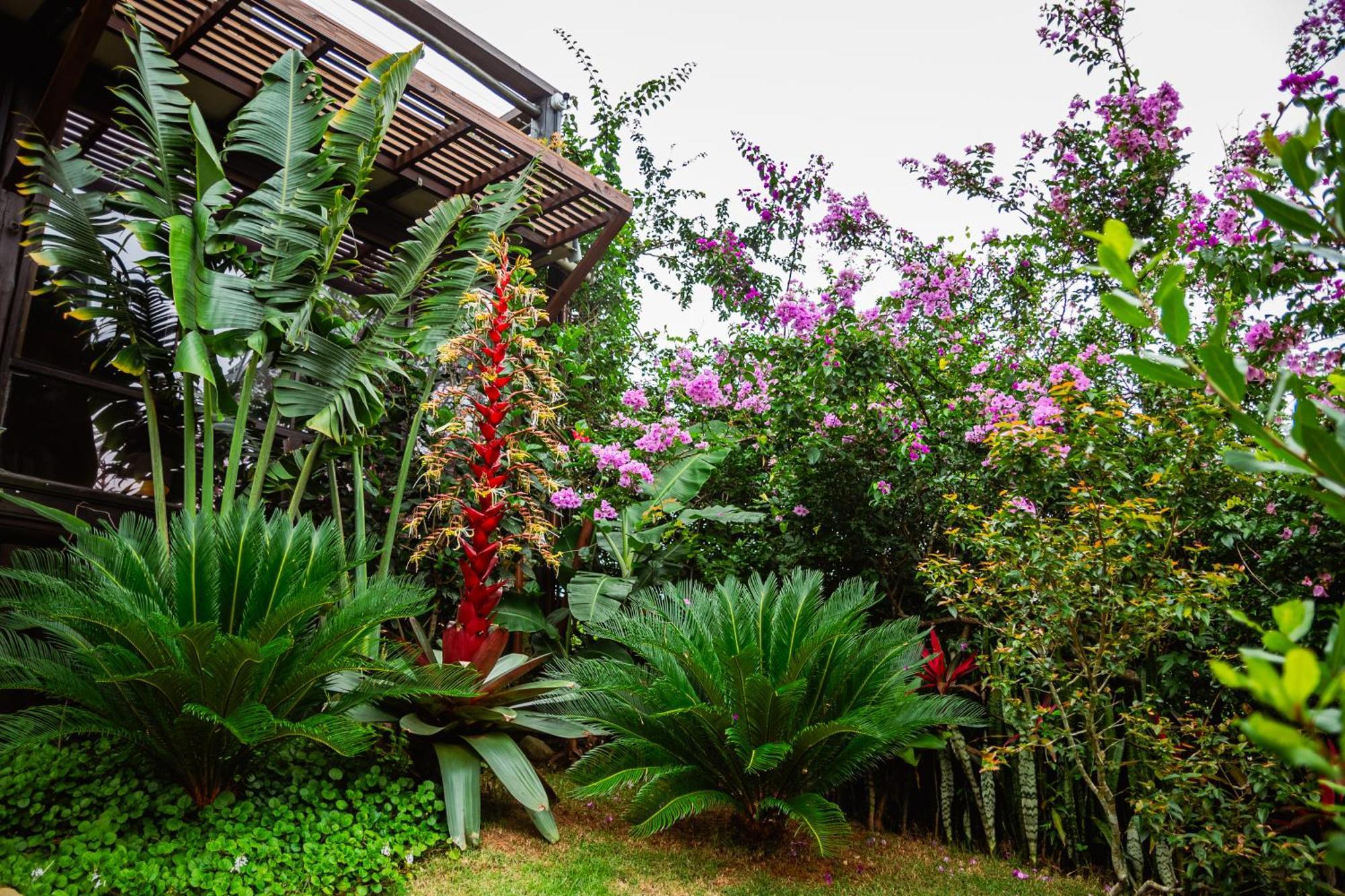 Ibiraquera Life Villa Praia do Rosa Kültér fotó